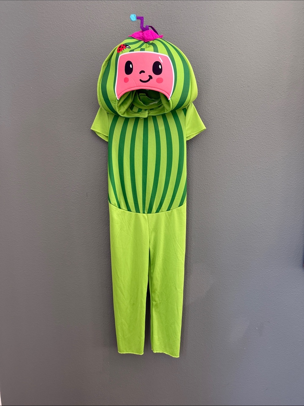 Kids Cocomelon Sz 3/4T Costume with Character Hood
